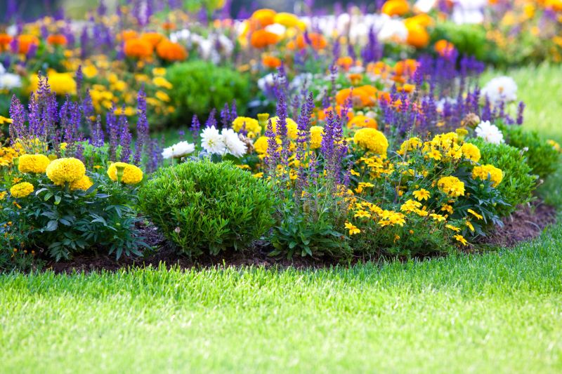 Perennial Flower Planting