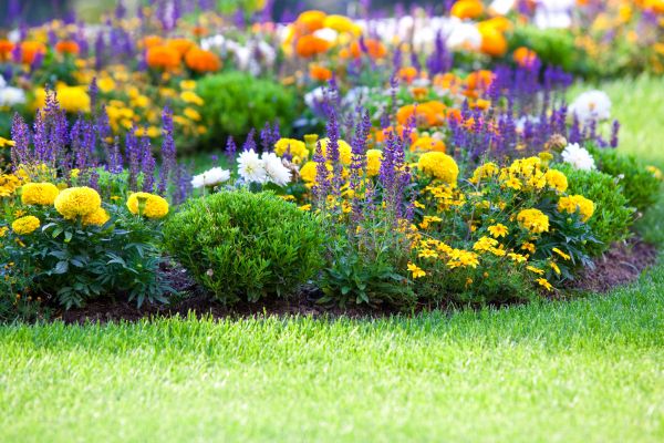 Flower Bed Maintenance in Brunswick