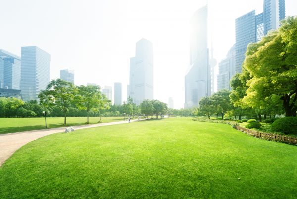 Commercial Landscape Maintenance in Brunswick