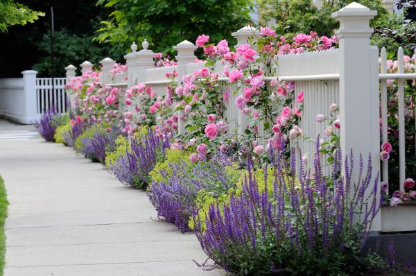Garden Handyman Service in Brunswick