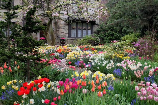 Garden Maintenance Service in Brunswick