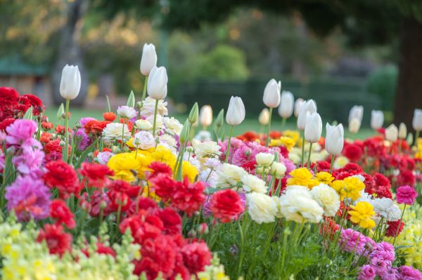 Gardening Service in Brunswick