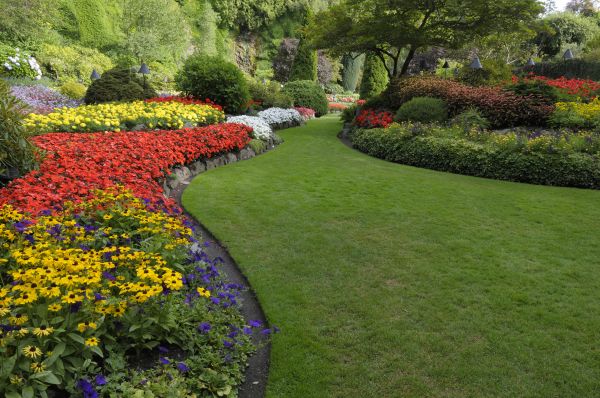 Landscaping Maintenance in Brunswick