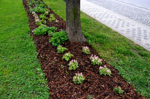 Mulch Replacement Service in Brunswick