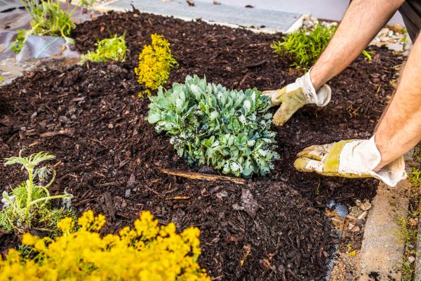 Weeding And Mulching in Brunswick