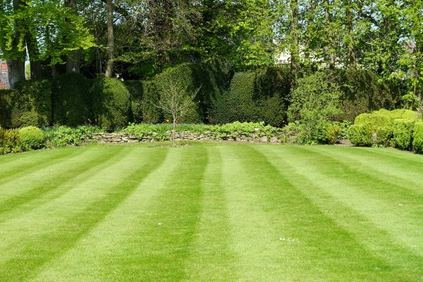 Lawn Renovation in Brunswick