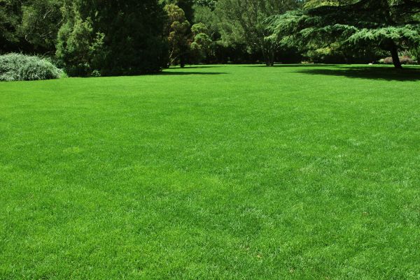 Lawn Landscaping in Brunswick