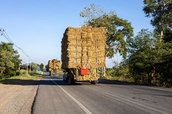 Pine Straw Delivery in Brunswick