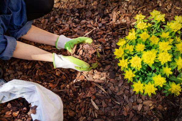 Garden Mulching in Brunswick