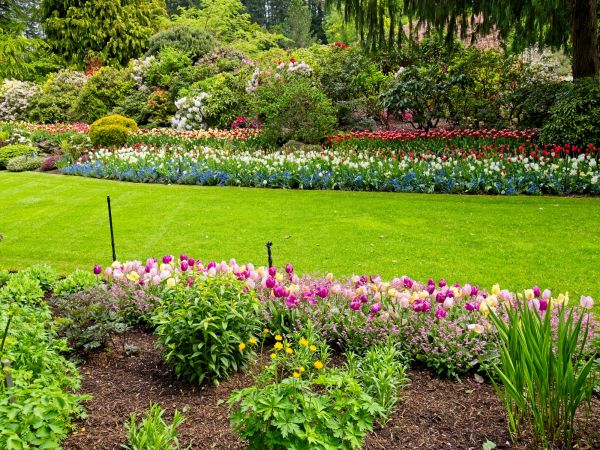 Residential Landscape Design in Brunswick