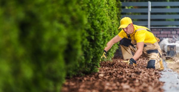 Cypress Mulch Installation in Brunswick