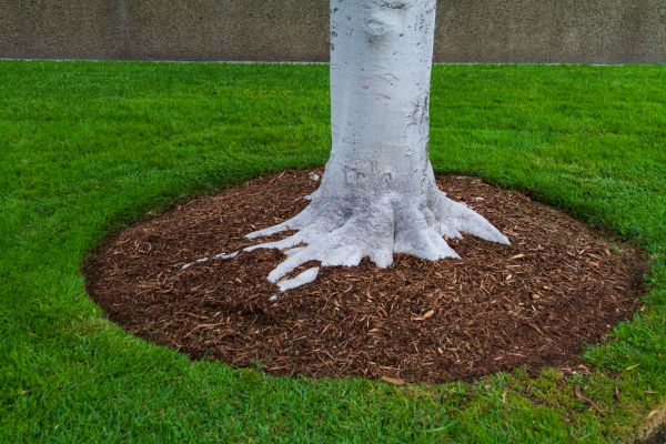 Brown Mulch Installation in Brunswick