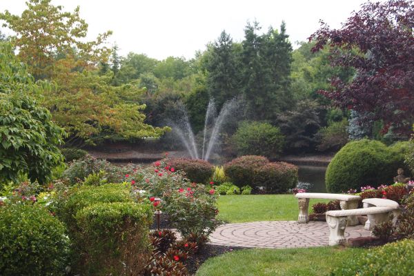 Courtyard Design Service in Brunswick