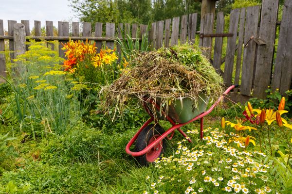 Garden Cleanup Service in Brunswick