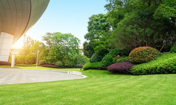 Business Landscape Design in Brunswick