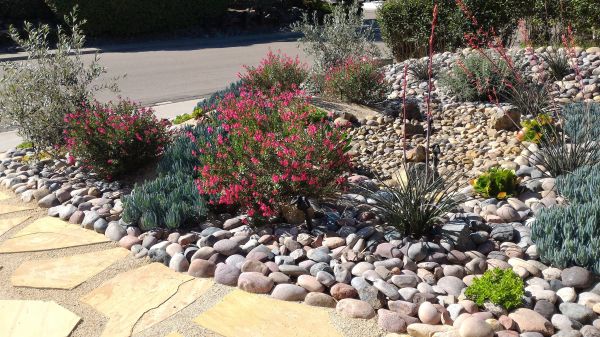 Xeriscape Landscaping in Brunswick
