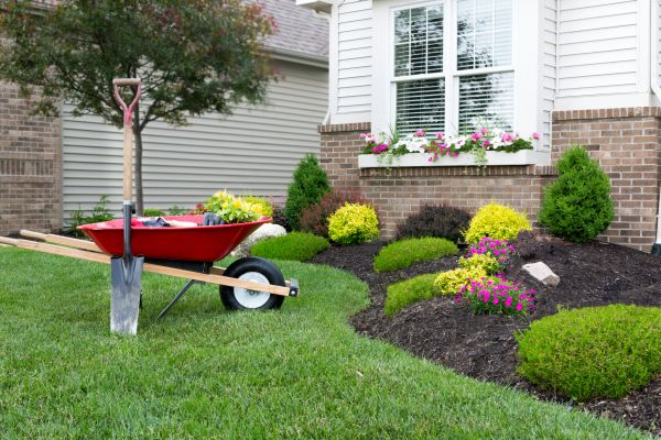 Tree And Shrub Planting in Brunswick