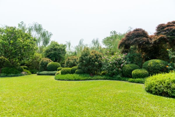 Tree Landscaping in Brunswick