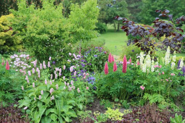 Flower Bed Planting in Brunswick