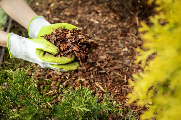 Garden Mulch Delivery in Brunswick