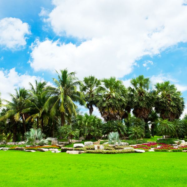 Tropical Landscaping in Brunswick