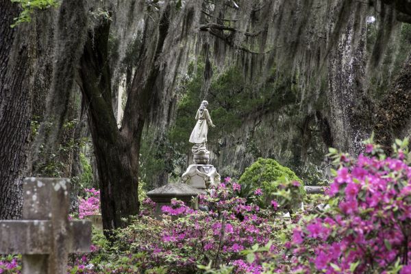 Cemetery Landscaping in Brunswick