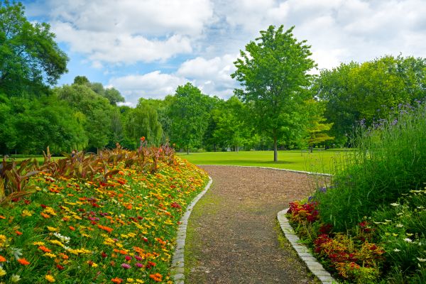 Park Landscaping in Brunswick