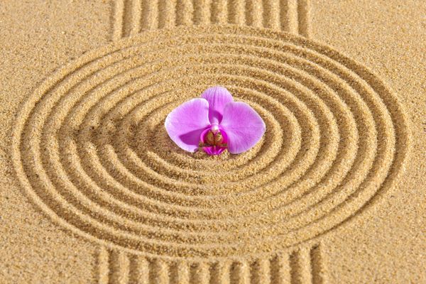 Sand Garden Landscaping in Brunswick
