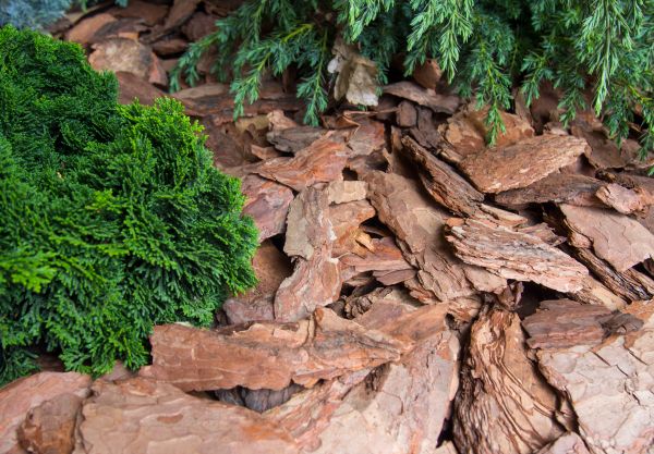 Pine Bark Installation in Brunswick