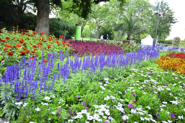 Perennials Planting in Brunswick