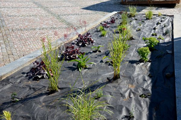 Landscape Fabric Installation in Brunswick
