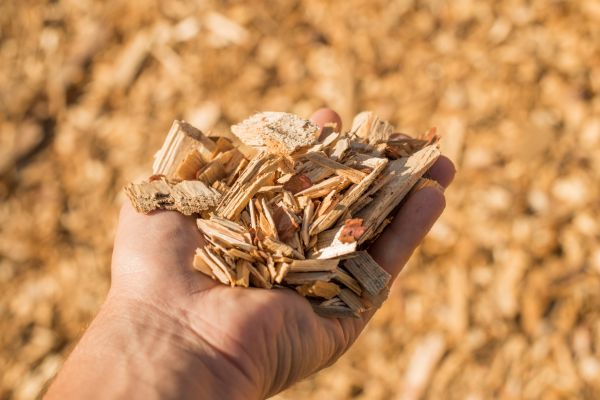 Wood Chips Spreading in Brunswick