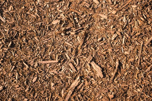 Wood Chips Removal in Brunswick