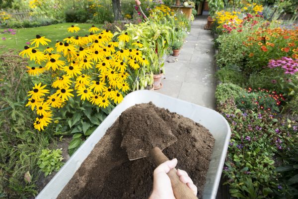 Topsoil Replacement in Brunswick