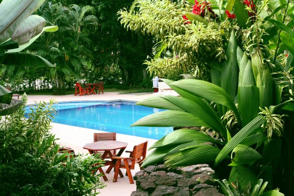 Pool Area Landscaping in Brunswick