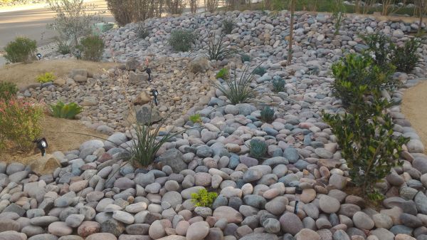 Yard Xeriscaping in Brunswick