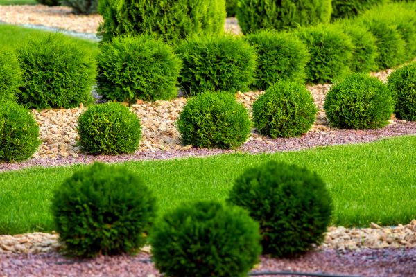 Bush Replacement in Brunswick