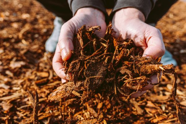 Bark Chips Delivery in Brunswick