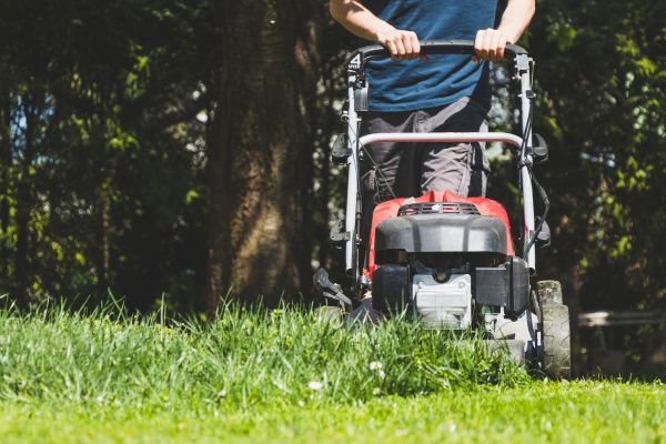 Garden Trimming Service in Brunswick