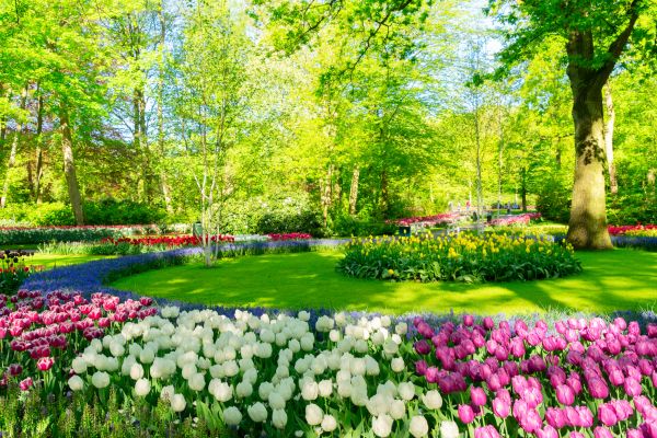 Flower Landscaping in Brunswick