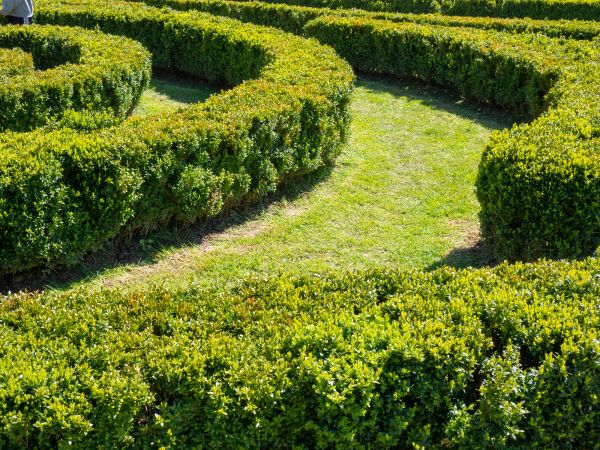 Bush Landscaping in Brunswick