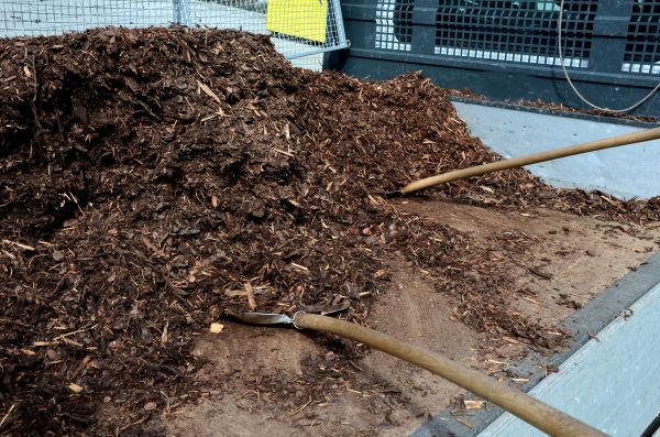 Cedar Bark Delivery in Brunswick