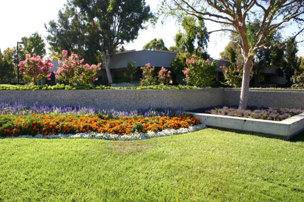 Commercial Landscape Service in Brunswick