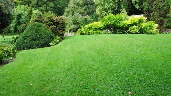 Commercial Landscape Design in Brunswick