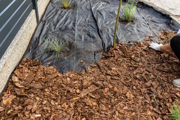 Pine Bark Spreading in Brunswick