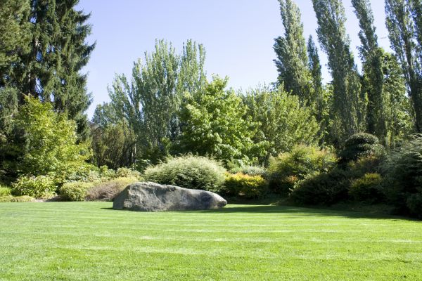 Yard Enlargement in Brunswick