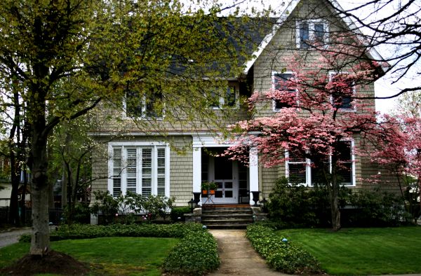 Ornamental Tree Planting in Brunswick