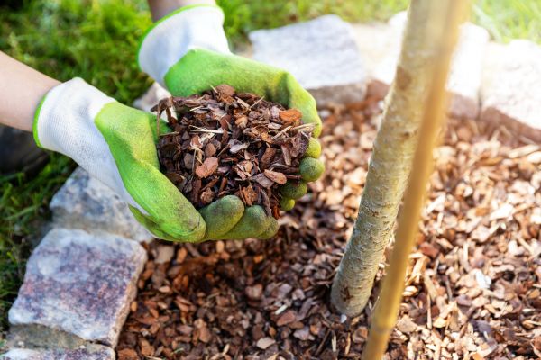 Tree Bark Delivery in Brunswick