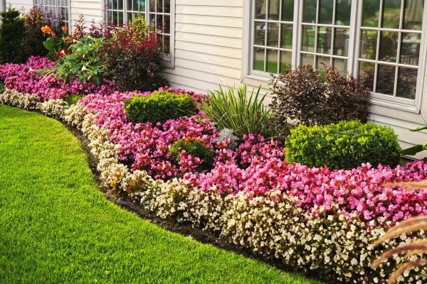 Garden Landscape Design in Brunswick