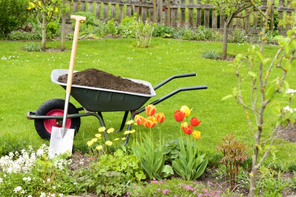 Spring Yard Renovation in Brunswick